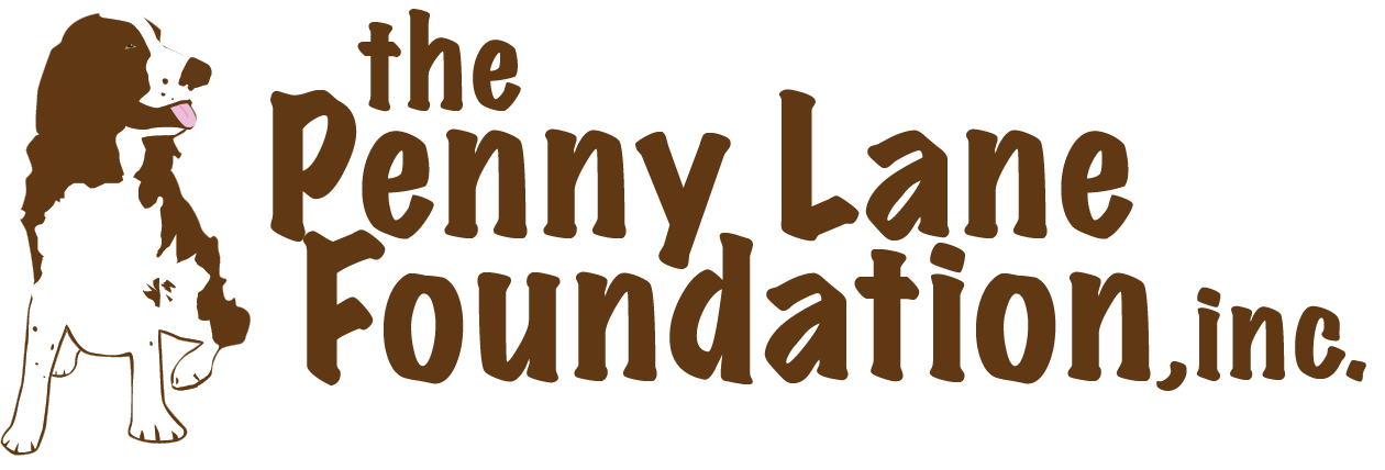 Penny Lane Foundation logo